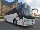 Direct Transportation from Doha to Saudi Arabia